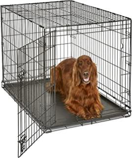 dog-crate.jpg