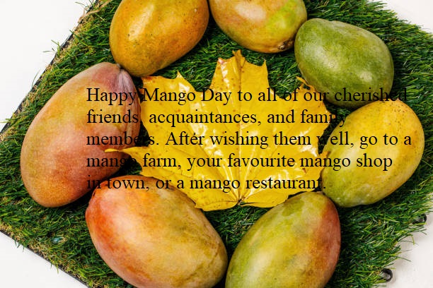 National Mango Day4