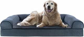 pet-gift-ideas-html-1e1c4ab9e462f2d9-1.gif