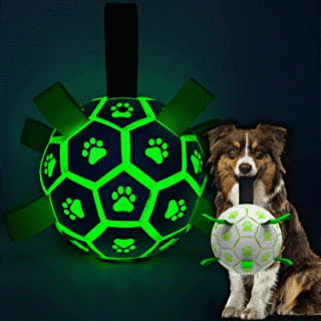 pet-gift-ideas-html-b44e39eea3e4605b.gif