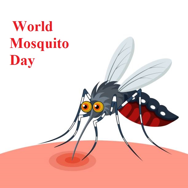 World Mosquito Day1-1