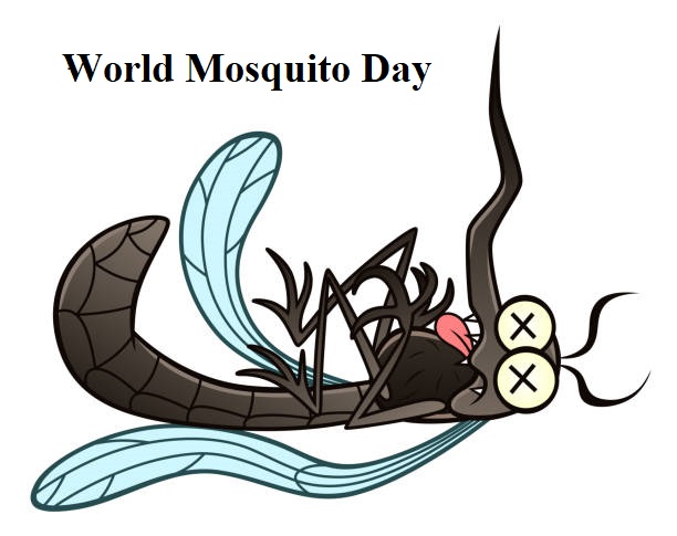 World Mosquito Day11