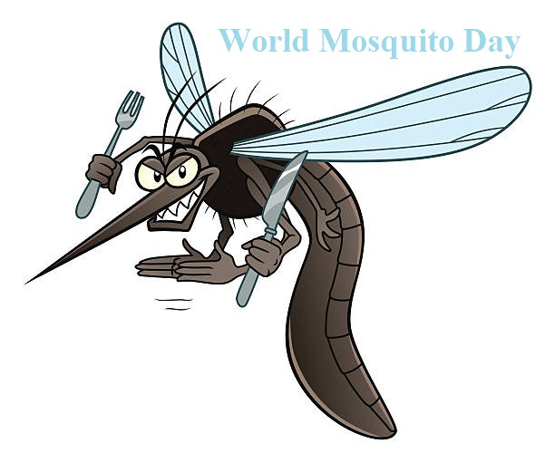 World Mosquito Day22