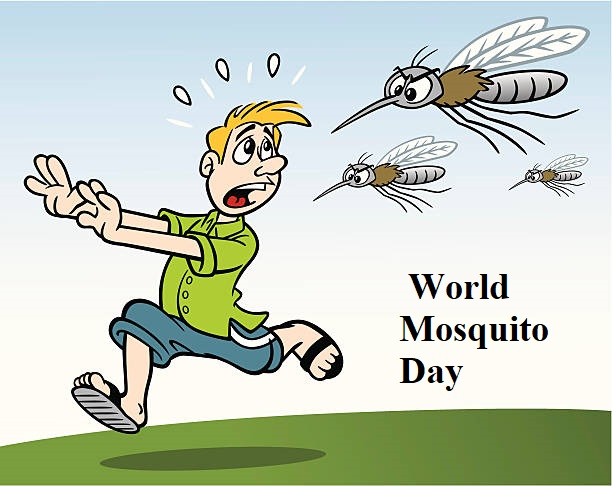 World Mosquito Day3-1