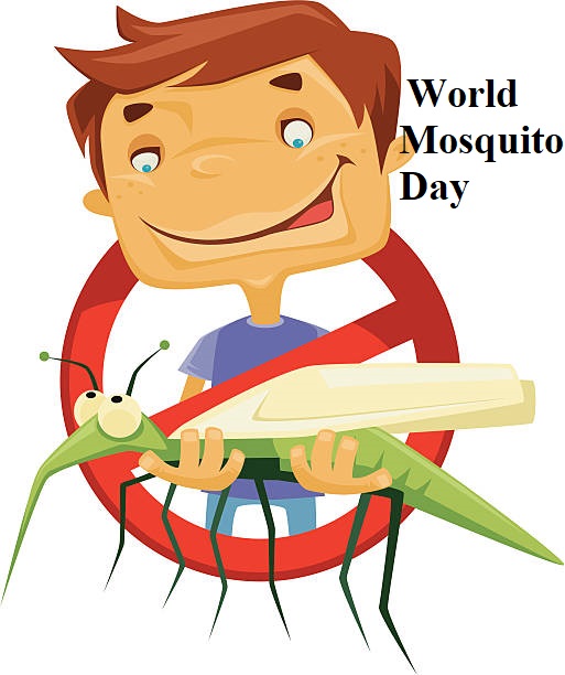 World Mosquito Day33