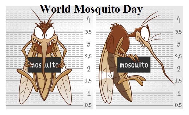 World Mosquito Day4
