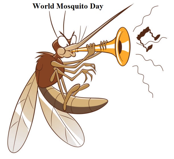 World Mosquito Day44-1