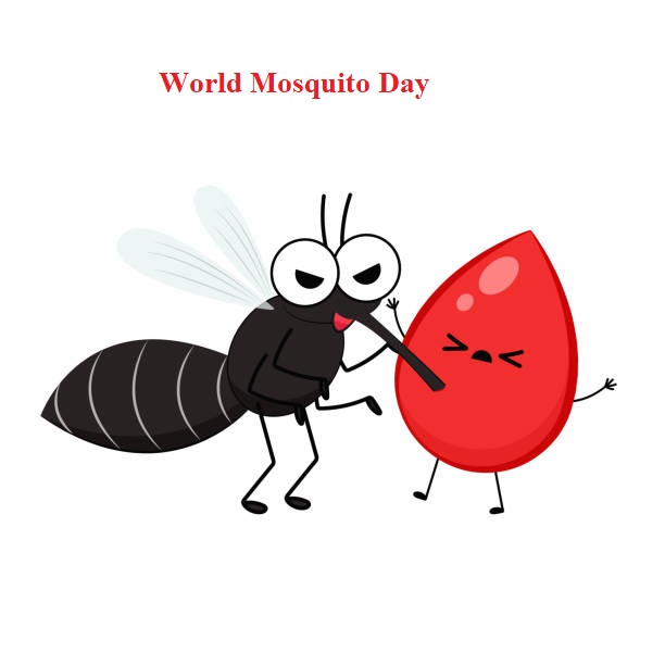 World Mosquito Day66-2