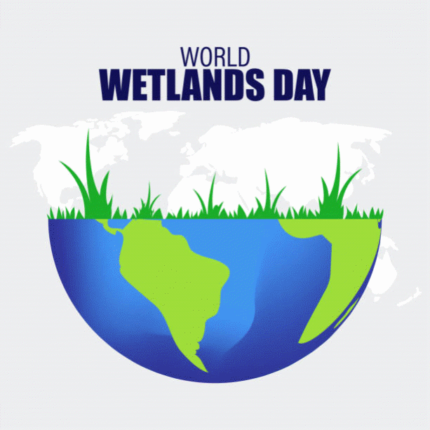 Everything You Need to Know about World Wetlands Day